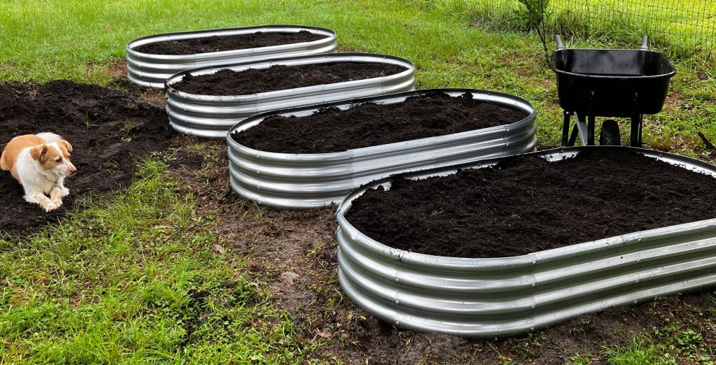 6 Lessons from the&nbsp;Garden