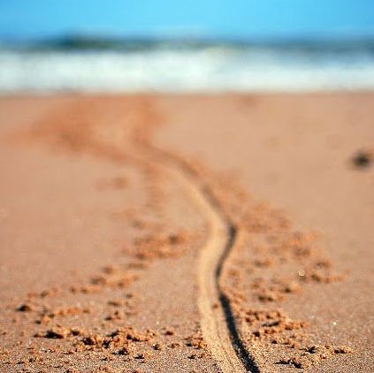 The Comfort of an Impartial&nbsp;God